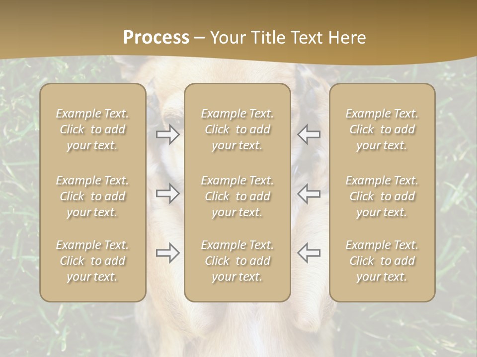 Mammal Canine Grass PowerPoint Template