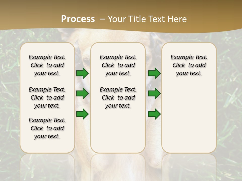 Mammal Canine Grass PowerPoint Template