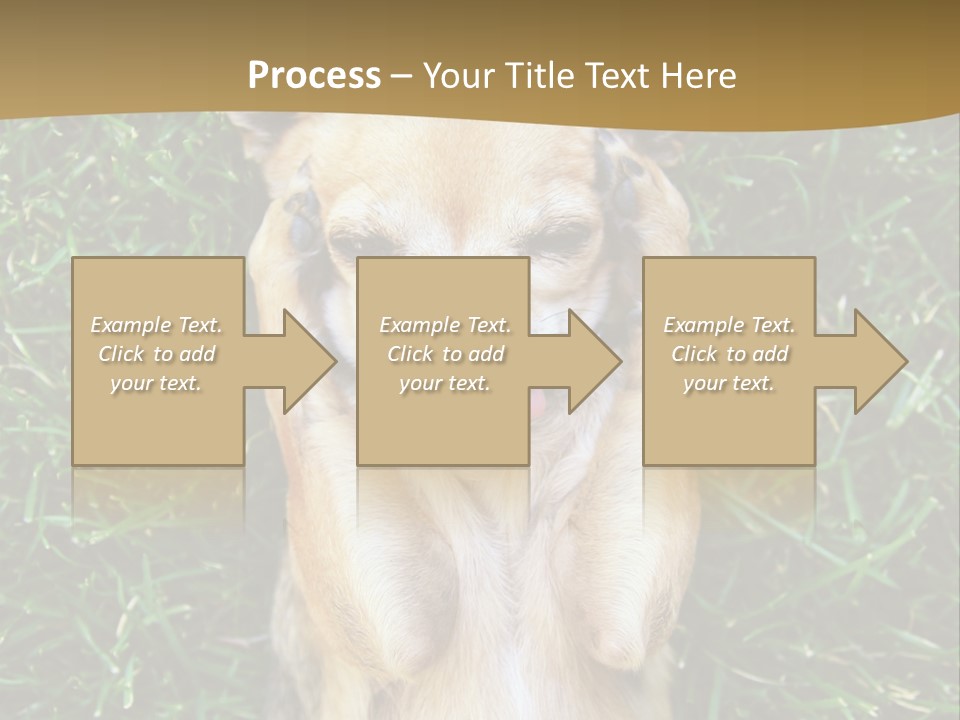Mammal Canine Grass PowerPoint Template