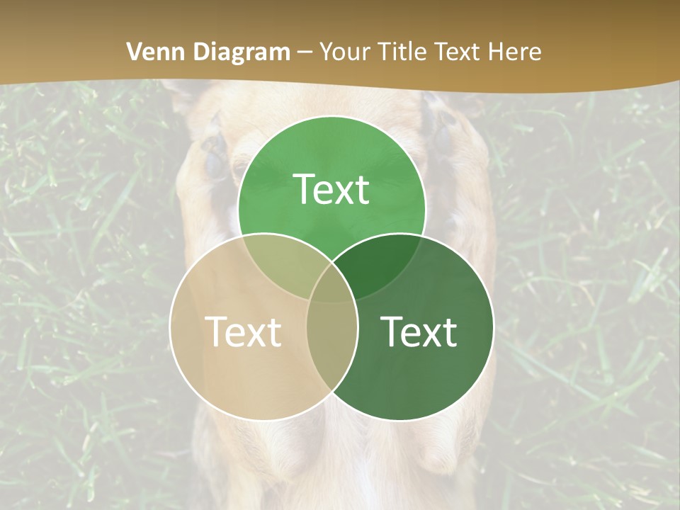 Mammal Canine Grass PowerPoint Template