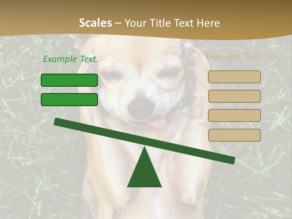 Mammal Canine Grass PowerPoint Template