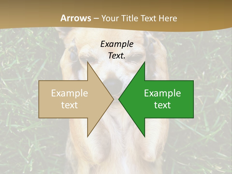 Mammal Canine Grass PowerPoint Template