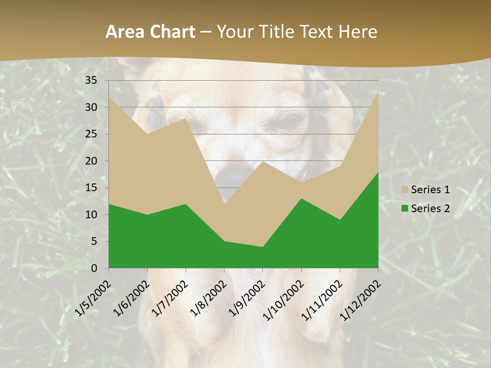 Mammal Canine Grass PowerPoint Template