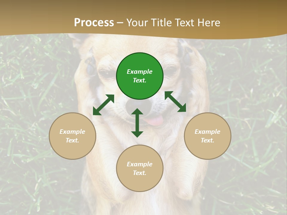 Mammal Canine Grass PowerPoint Template