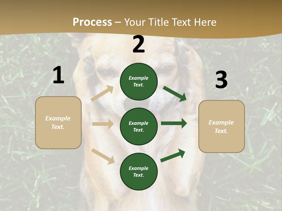 Mammal Canine Grass PowerPoint Template
