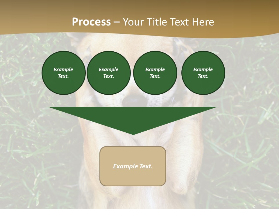 Mammal Canine Grass PowerPoint Template