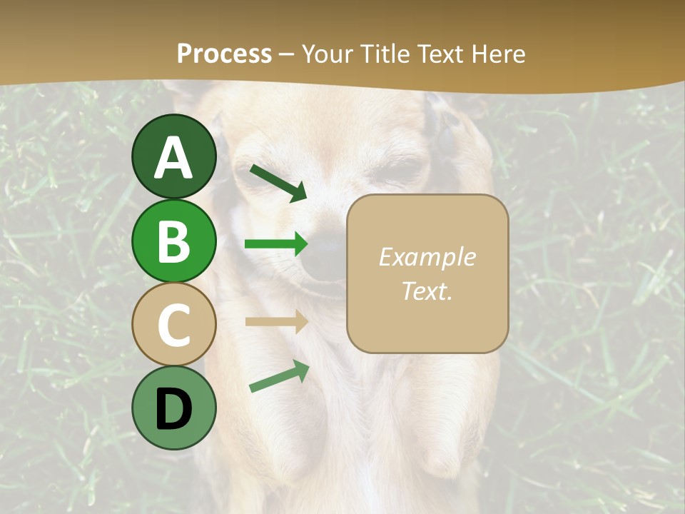 Mammal Canine Grass PowerPoint Template