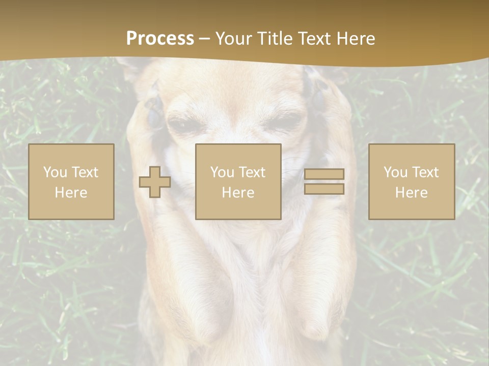 Mammal Canine Grass PowerPoint Template