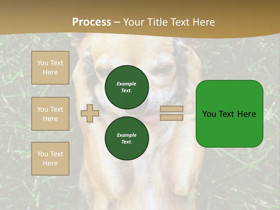 Mammal Canine Grass PowerPoint Template