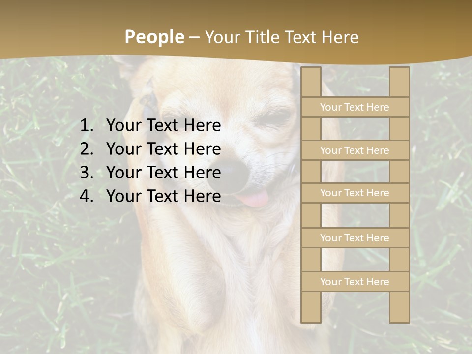 Mammal Canine Grass PowerPoint Template