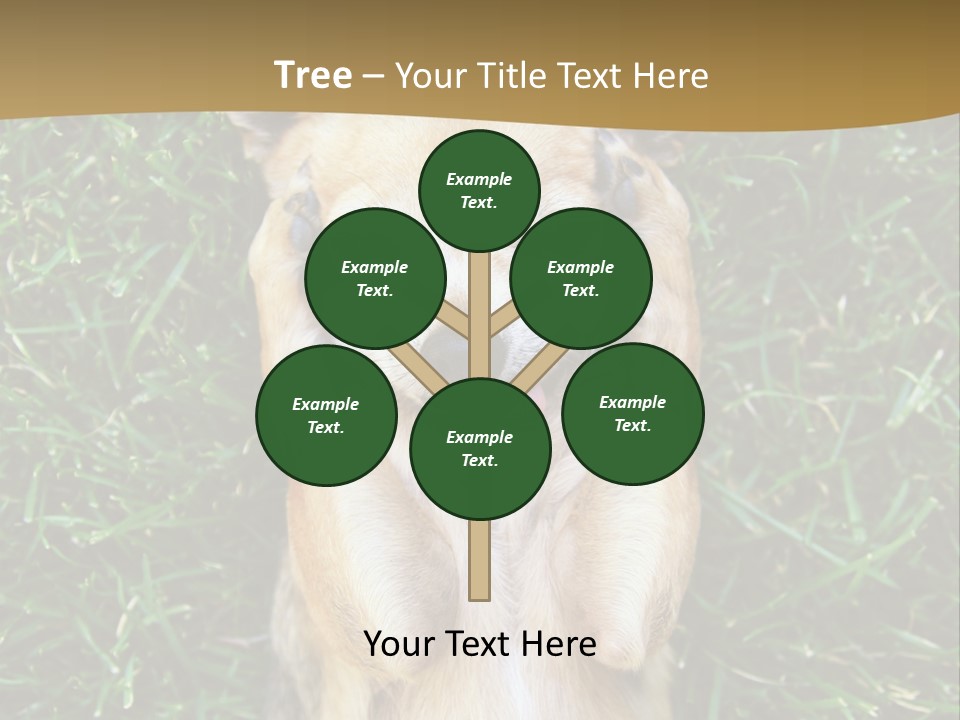 Mammal Canine Grass PowerPoint Template