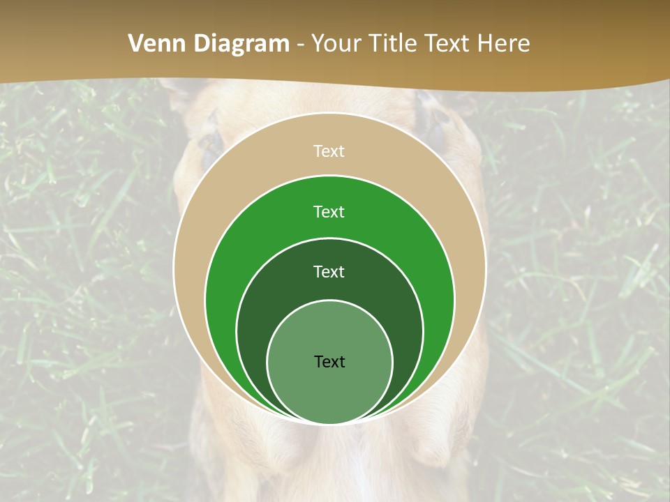 Mammal Canine Grass PowerPoint Template