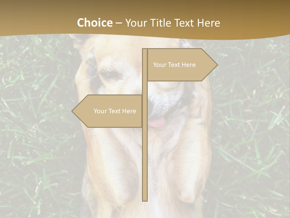 Mammal Canine Grass PowerPoint Template