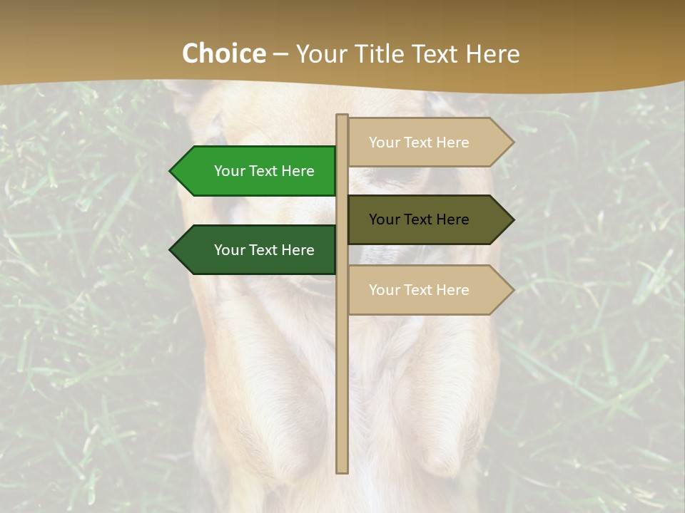 Mammal Canine Grass PowerPoint Template