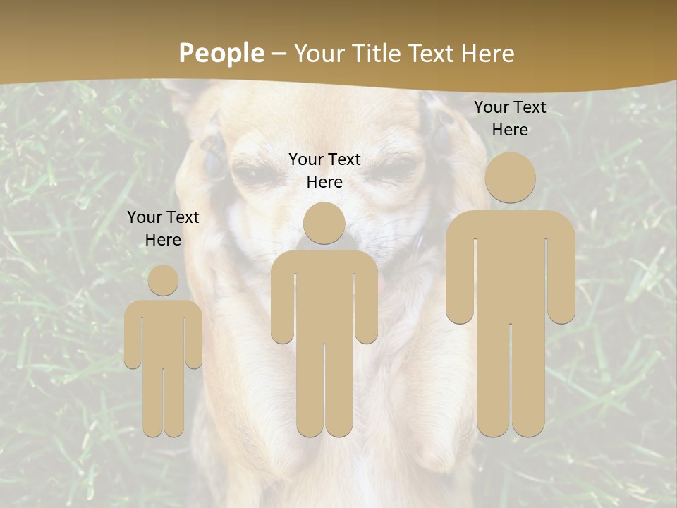 Mammal Canine Grass PowerPoint Template
