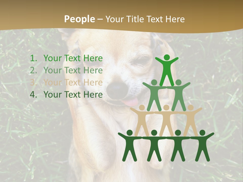 Mammal Canine Grass PowerPoint Template
