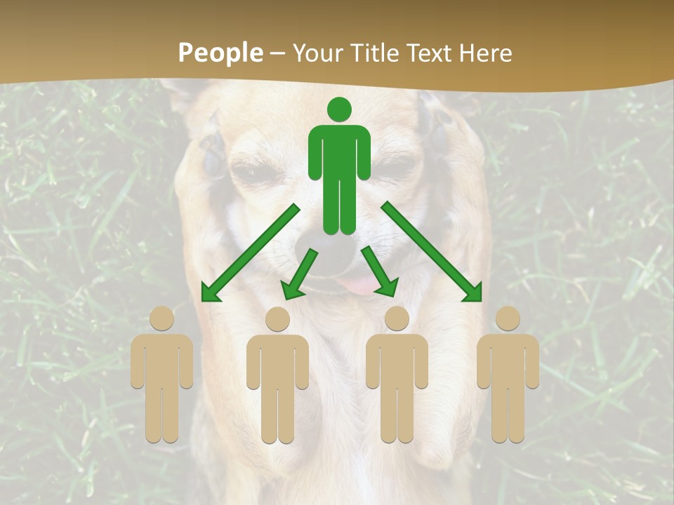 Mammal Canine Grass PowerPoint Template