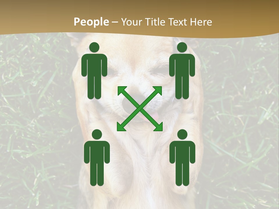 Mammal Canine Grass PowerPoint Template