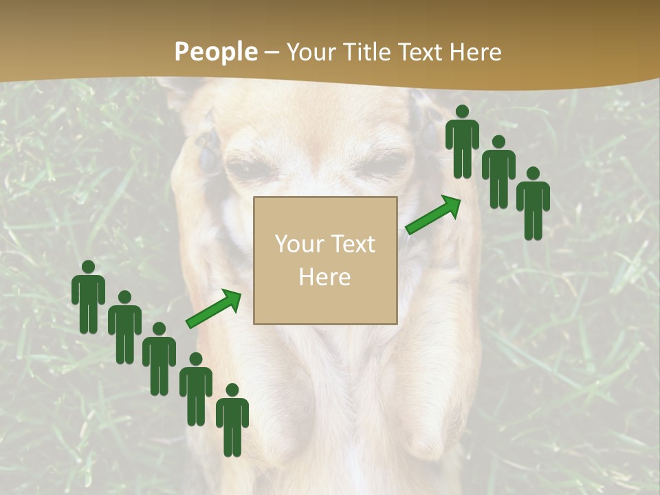 Mammal Canine Grass PowerPoint Template