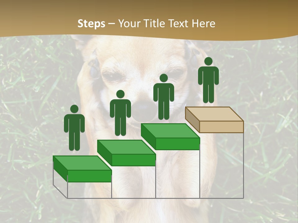 Mammal Canine Grass PowerPoint Template