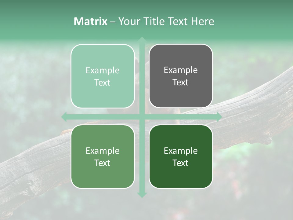 Fur Creature Outdoor PowerPoint Template