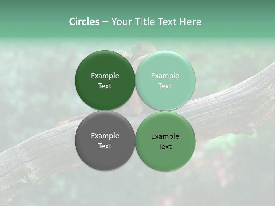 Fur Creature Outdoor PowerPoint Template