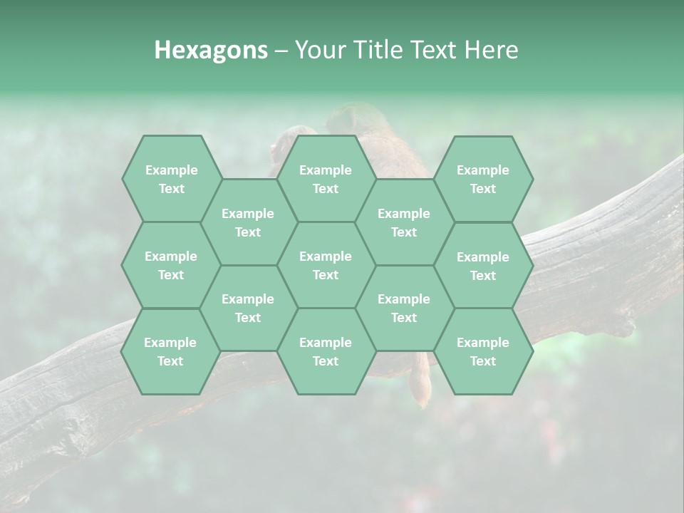 Fur Creature Outdoor PowerPoint Template