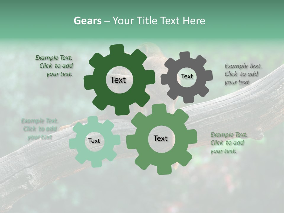 Fur Creature Outdoor PowerPoint Template