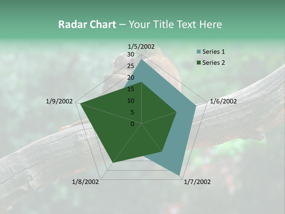 Fur Creature Outdoor PowerPoint Template
