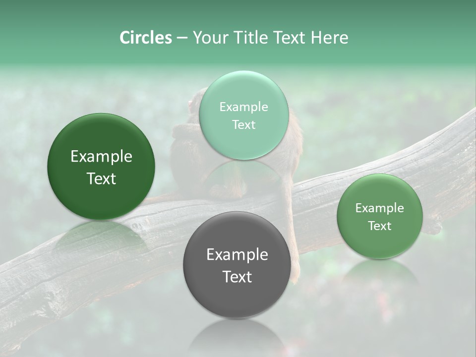 Fur Creature Outdoor PowerPoint Template