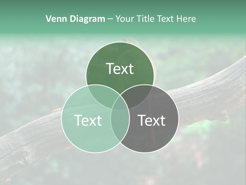 Fur Creature Outdoor PowerPoint Template