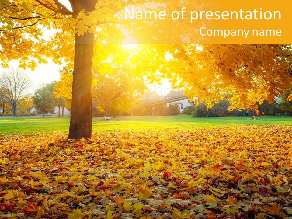 Landscape Outdoors Foliage PowerPoint Template