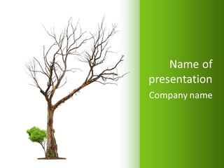 Plant Leafage Old PowerPoint Template