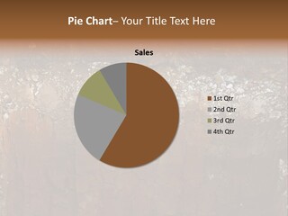 Layered Topsoil View PowerPoint Template