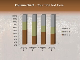 Layered Topsoil View PowerPoint Template