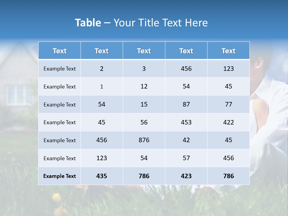 New House Property PowerPoint Template