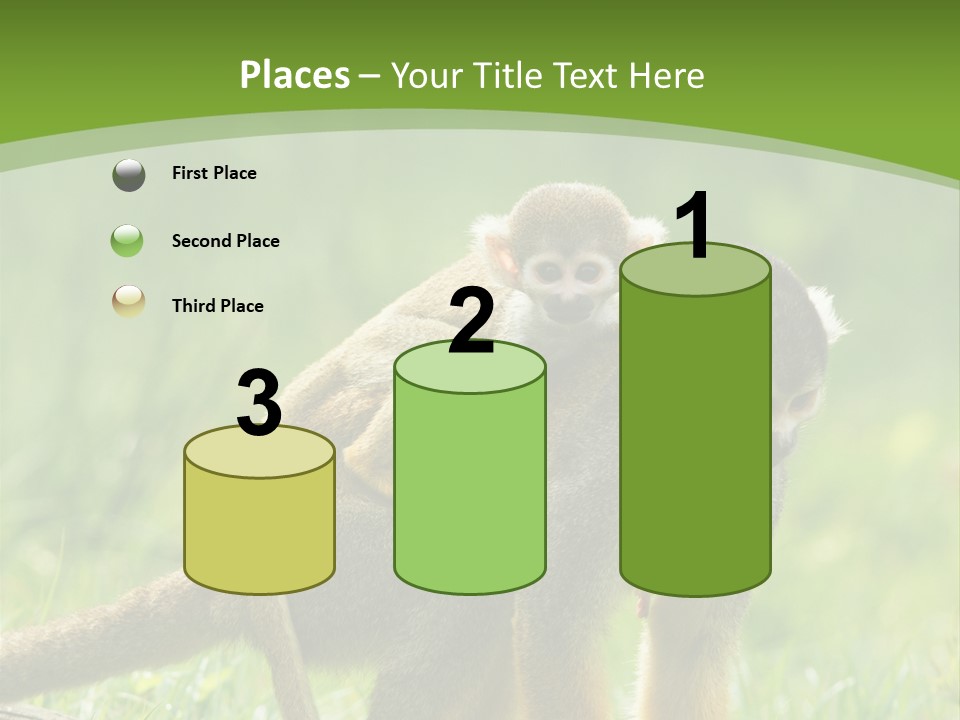 Mammal Small Macaca PowerPoint Template