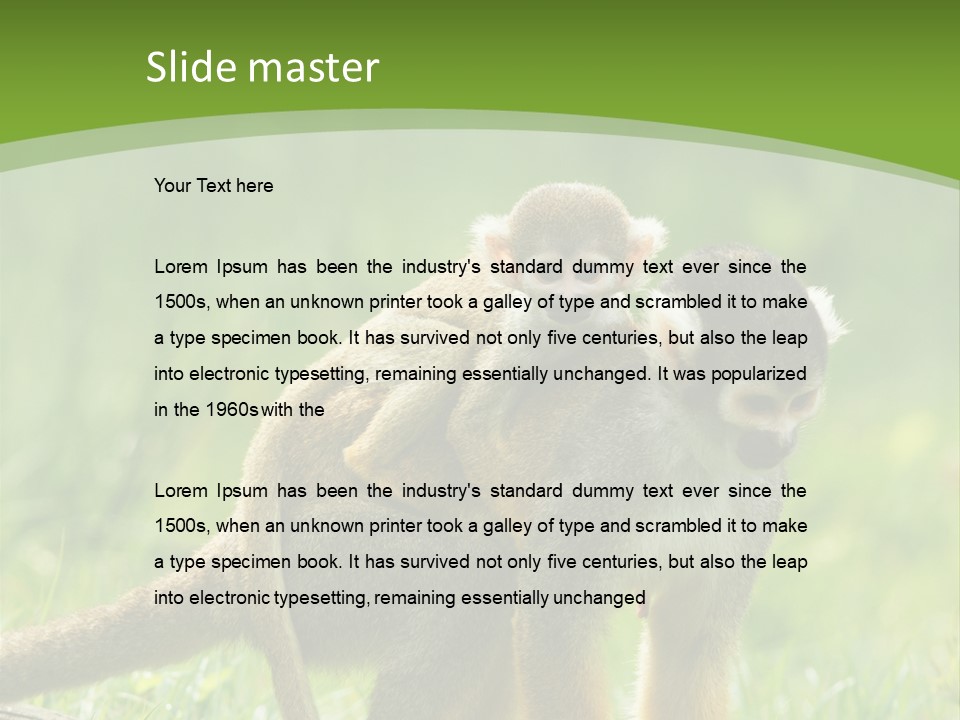 Mammal Small Macaca PowerPoint Template