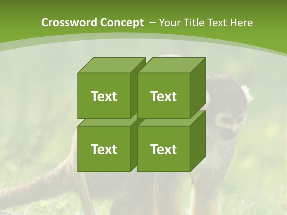 Mammal Small Macaca PowerPoint Template