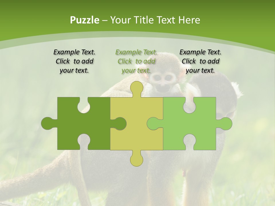 Mammal Small Macaca PowerPoint Template