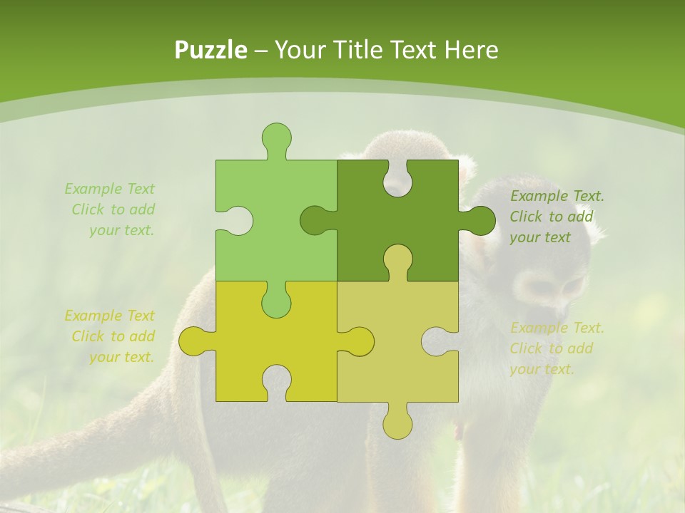 Mammal Small Macaca PowerPoint Template