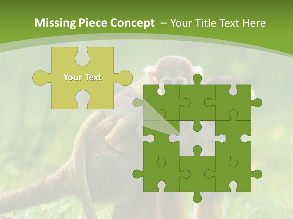 Mammal Small Macaca PowerPoint Template