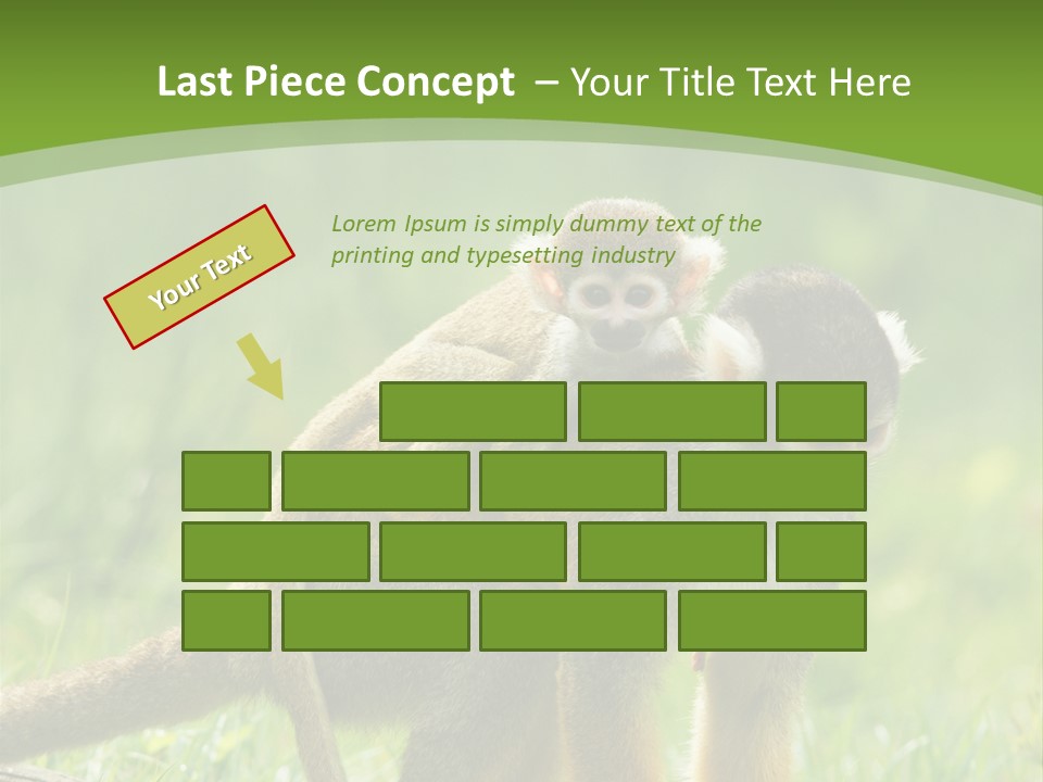 Mammal Small Macaca PowerPoint Template