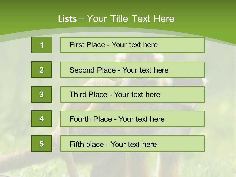 Mammal Small Macaca PowerPoint Template