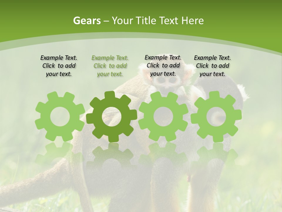 Mammal Small Macaca PowerPoint Template