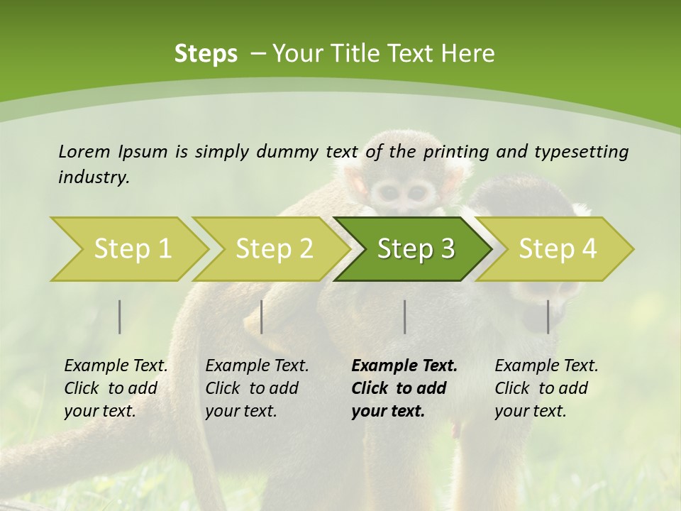 Mammal Small Macaca PowerPoint Template