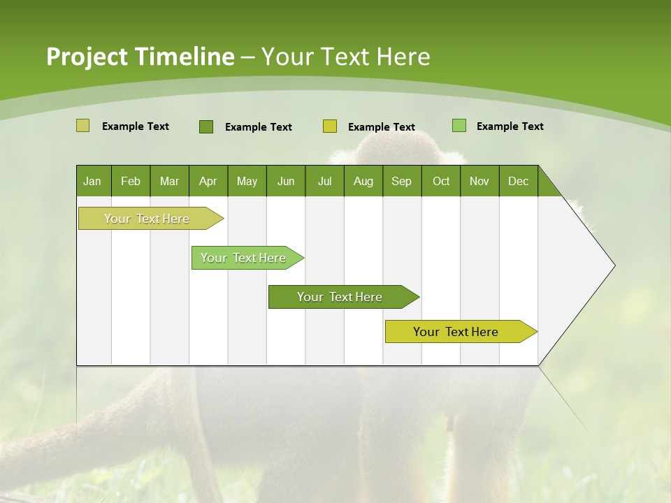 Mammal Small Macaca PowerPoint Template