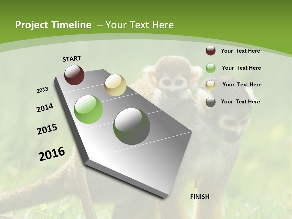 Mammal Small Macaca PowerPoint Template