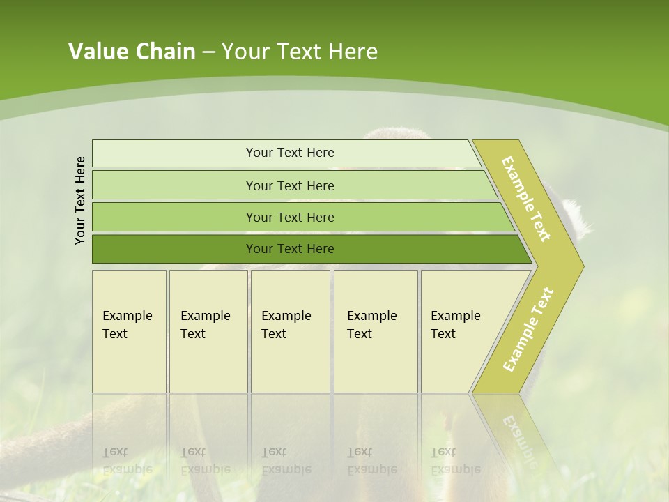 Mammal Small Macaca PowerPoint Template