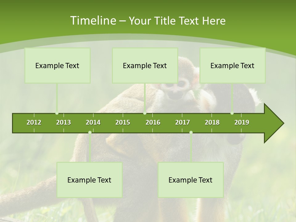 Mammal Small Macaca PowerPoint Template